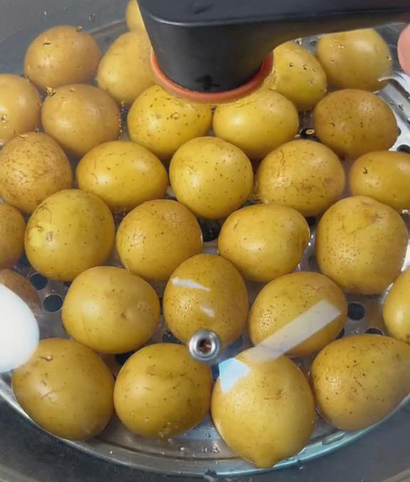 Steam the potatoes