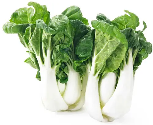 Bok Choy