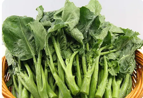 Chinese broccoli