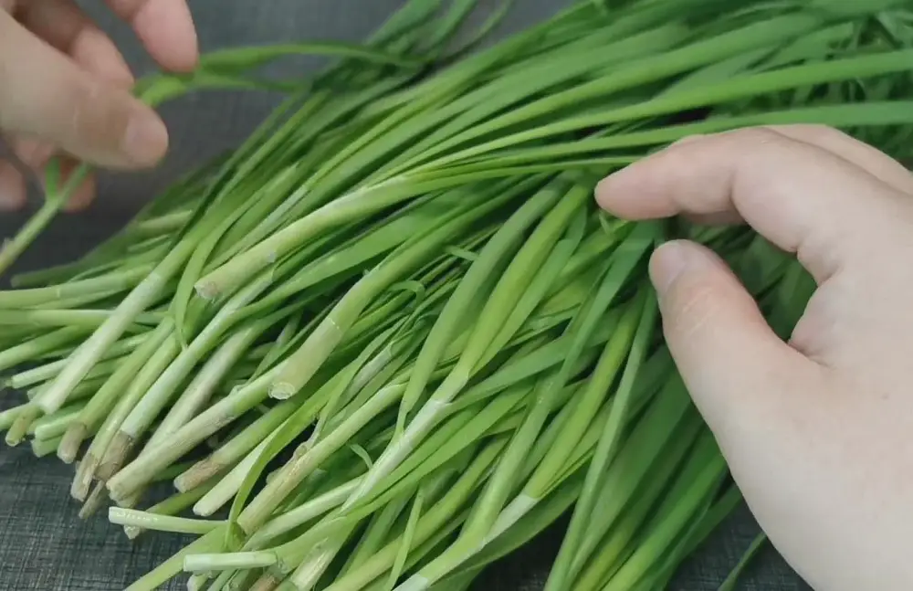 Green Onions vs. Chives vs. Shallots - Evolving Table