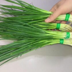 Shallots Vs Green Onion Vs Scallions Vs Chives | Are They The Same?
