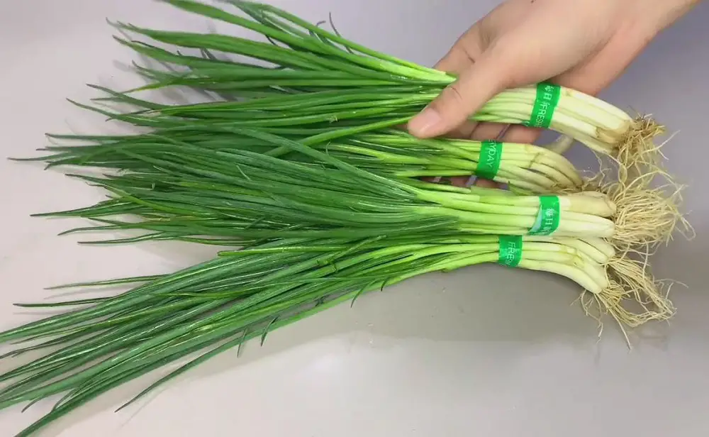 Green Onions vs. Chives vs. Shallots - Evolving Table