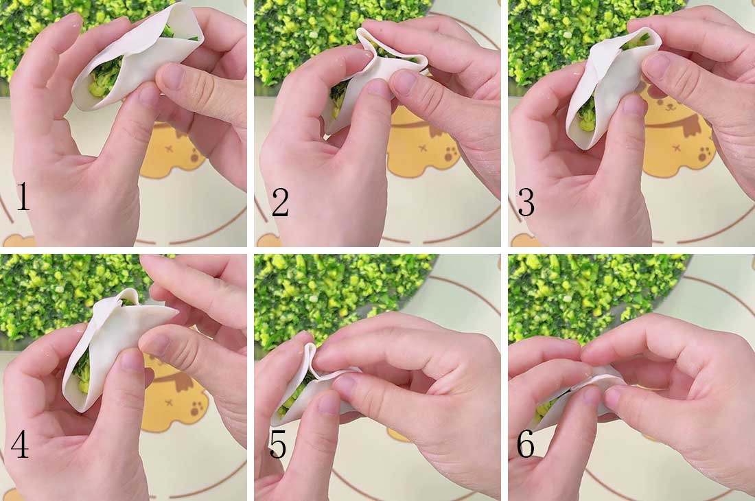 how to fold Butterfly Dumplings
