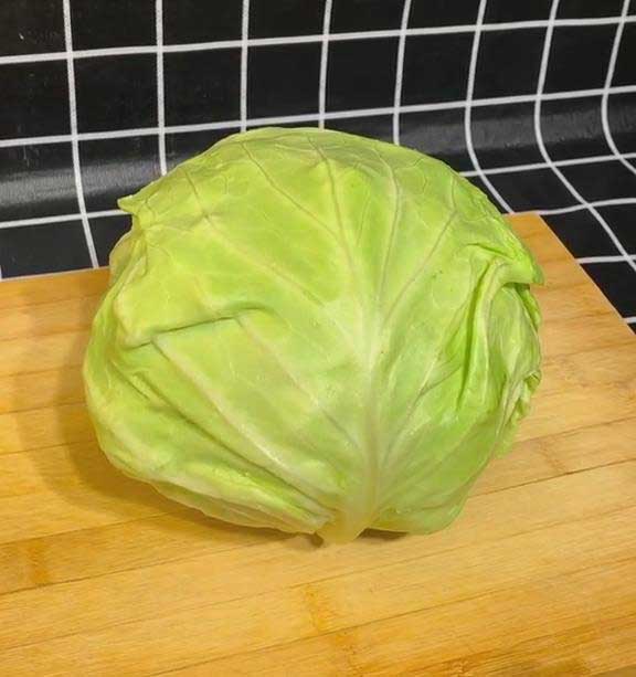 White Cabbage