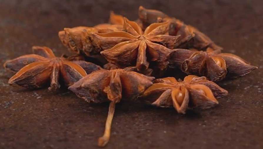 Star Anise