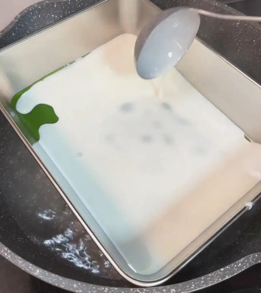 Pandan Coconut Jelly Recipe (Pandan Steamed Layer Cake) - Kitchen (Mis ...