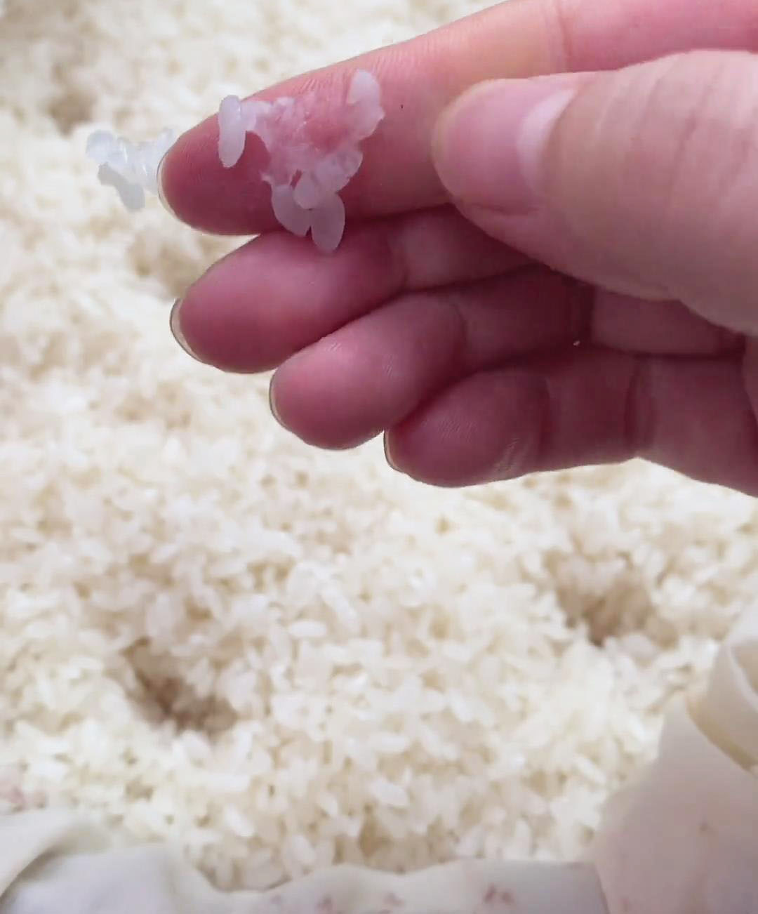 glutinous rice after steaming