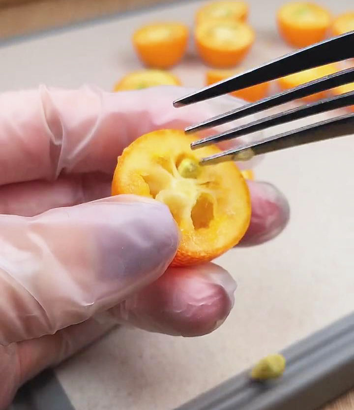 slice the kumquats in half, and remove the seeds