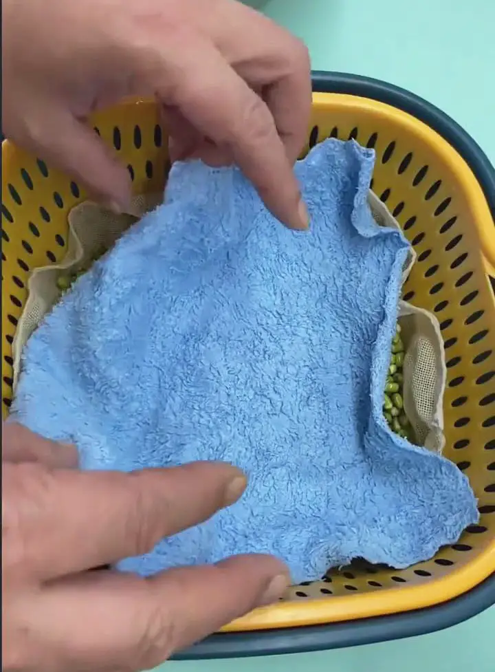 Place a clean damp towel on top