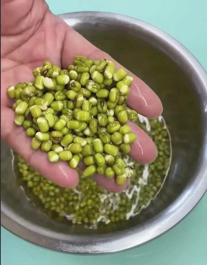 let mung beans soak overnight