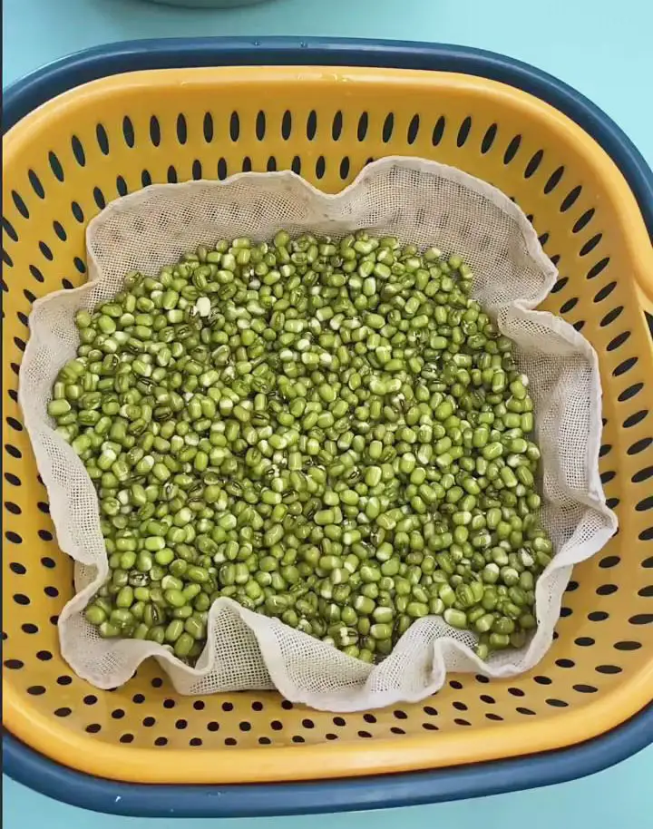 place the soaked and drained mung beans on top